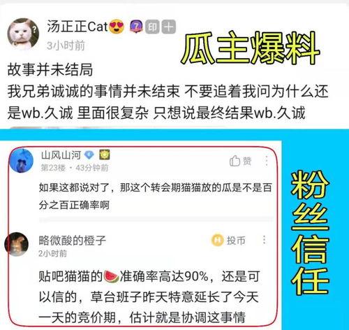 芯片风暴爆料最新消息,揭秘行业变革背后的秘密与挑战  第3张